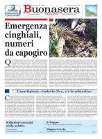 Buonsera Gli sfogliabili 